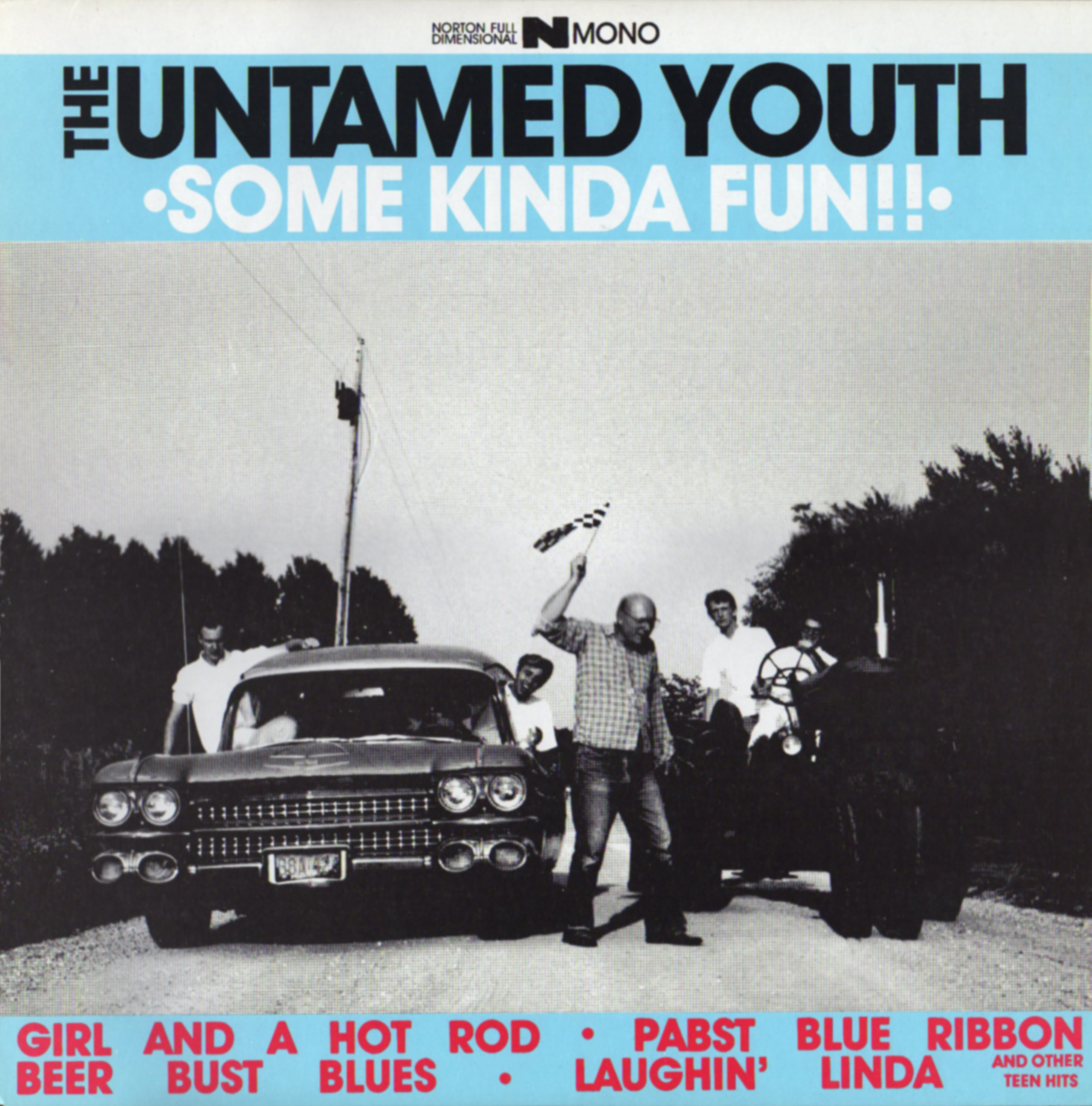 The Untamed Youth - Some Kinda Fun!